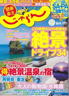 IMG.jpg